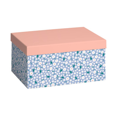 Коробка подарункова Samia 16,5×12×24 см Salmon/Sky Blue